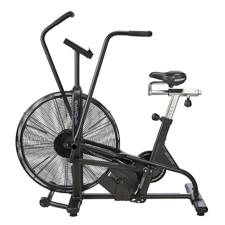 Lifecore Fitness Assault Air Bike